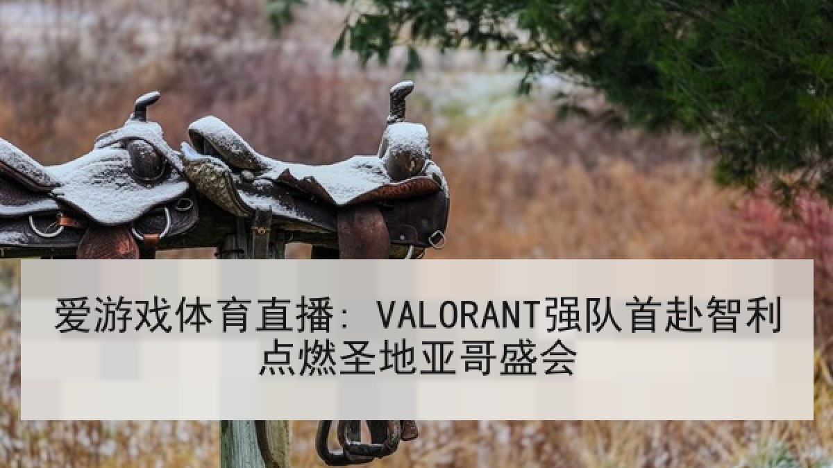 爱游戏体育直播: VALORANT强队首赴智利点燃圣地亚哥盛会