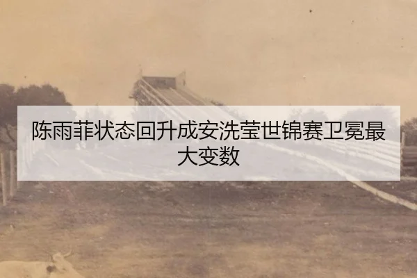 陈雨菲状态回升成安洗莹世锦赛卫冕最大变数