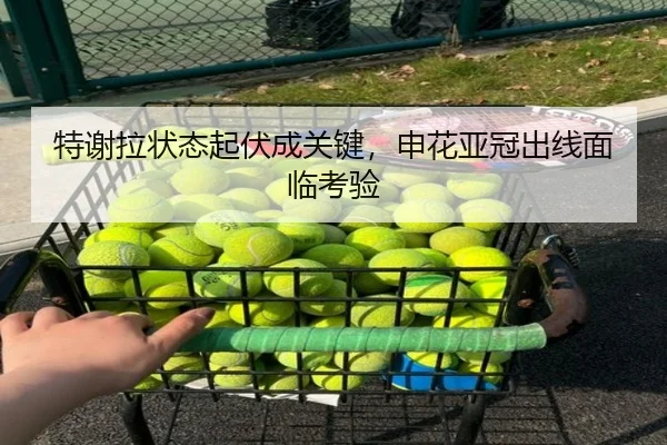 特谢拉状态起伏成关键，申花亚冠出线面临考验