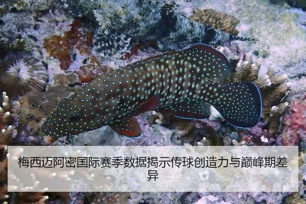 梅西迈阿密国际赛季数据揭示传球创造力与巅峰期差异