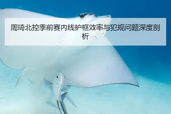周琦北控季前赛内线护框效率与犯规问题深度剖析