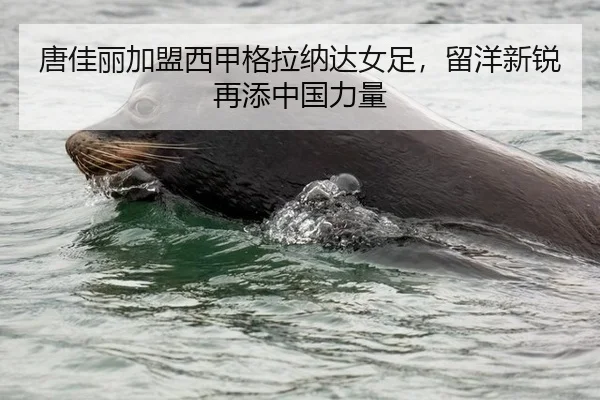 唐佳丽加盟西甲格拉纳达女足，留洋新锐再添中国力量