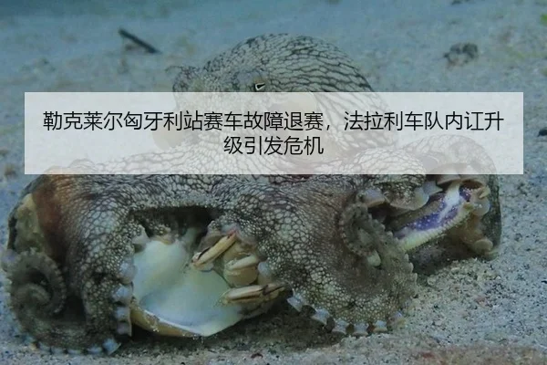 勒克莱尔匈牙利站赛车故障退赛，法拉利车队内讧升级引发危机