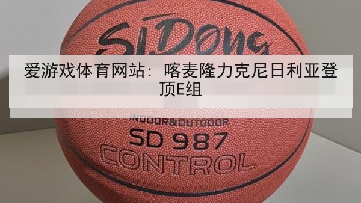 爱游戏体育网站: 喀麦隆力克尼日利亚登顶E组